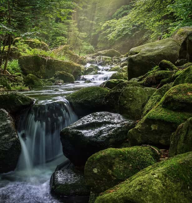3-Day Udzungwa Mountains Trekking - Exploring the 3-Day Udzungwa Mountains Trekking Experience