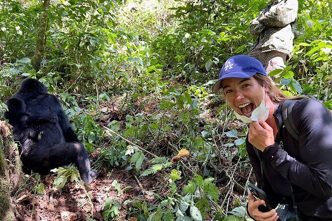 3 Day Uganda Gorilla Trekking and Batwa Pygmies Experience - Key Points