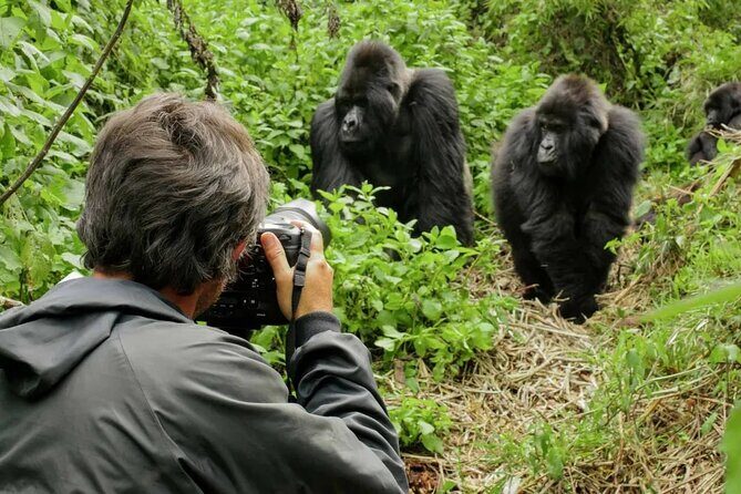 3 Day Uganda Gorilla Trekking and Batwa Pygmies Experience - Whats Included & Whats Not