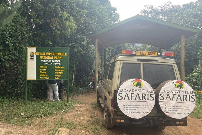 3 Day Uganda Gorilla Trekking and Batwa Pygmies Experience - Authentic Experiences & Traveler Feedback