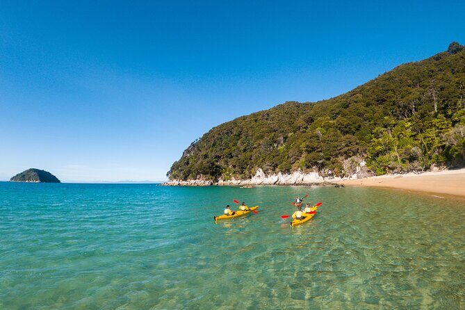 3 Day Unguided Kayaking starting in the Abel Tasman National Park New Zealand - Safety and Group Size Considerations