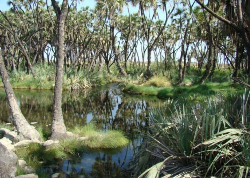 3-Day Wild Wonders and Nature, Awash National Park Tour - Key Points