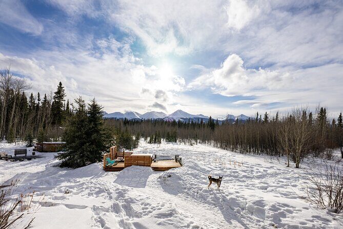 3-day Yukon Northern Lights Adventure - Practical Considerations