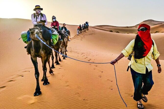 3 Days 2 Magic Night Merzouga Desert Tour From Fes & Back to Fes - The Group and Timing
