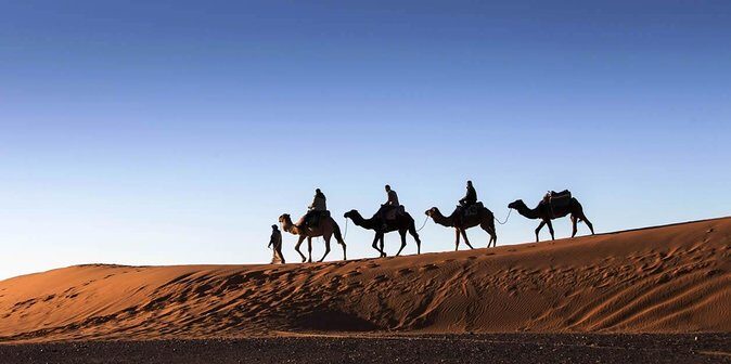 3 Days 2 Nights Adventure from Marrakech to Fez via Desert - Practical Tips for Future Travelers