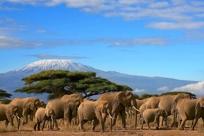 3 Days 2 Nights Amboseli National Park Tour - Key Points