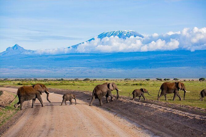 3 Days 2 Nights Amboseli National Park Tour - A Closer Look at the 3-Day Amboseli Safari