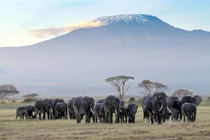 3 Days 2 Nights Amboseli National Park Tour - The Sum Up