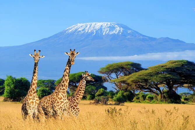 3 Days 2 Nights Amboseli Safari - FAQ