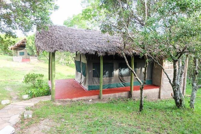 3 days 2 nights budget group safari to Maasai Mara National Reserve - The Sum Up: Is This Safari Right for You?