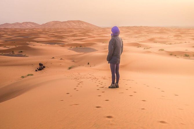 3 Days 2 Nights: Desert Tour from Fes to Marrakech - Ouarzazate and the Rose Valley