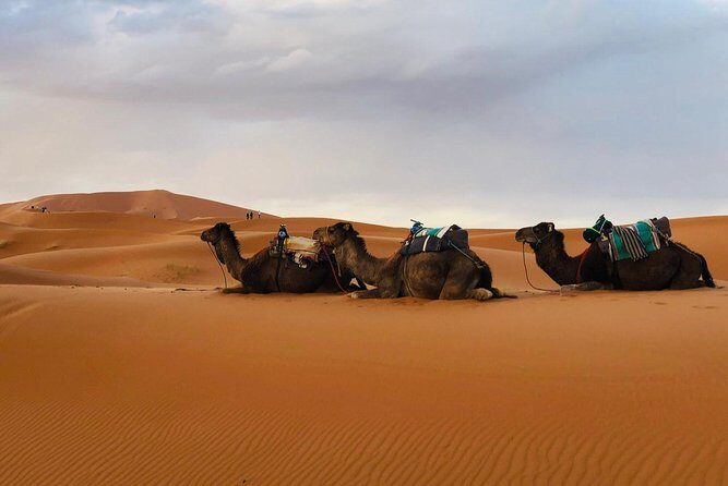 3 Days 2 Nights: Desert Tour from Fes to Marrakech - Day Three: From Mountains to Ancient Kasbahs
