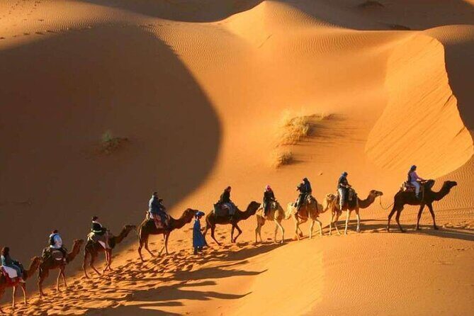 3 Days 2 Nights Desert Tour from Fes to Marrakech - What Travelers Say: Authentic Insights from Reviews