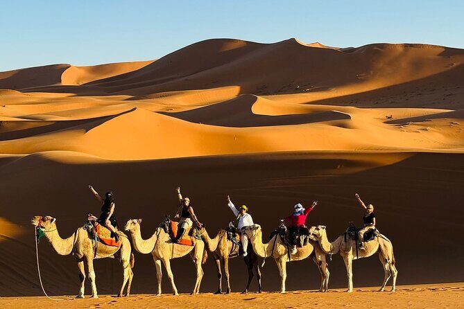 3 Days 2 Nights Desert Tour from Fes to Marrakech via Merzouga - An In-Depth Look at the Tour
