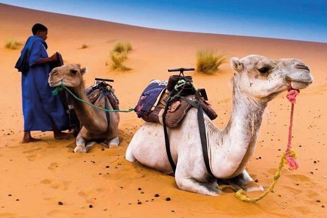 3 Days 2 Nights From Errachidia to Merzouga Desert - Authentic Experiences and Cultural Highlights