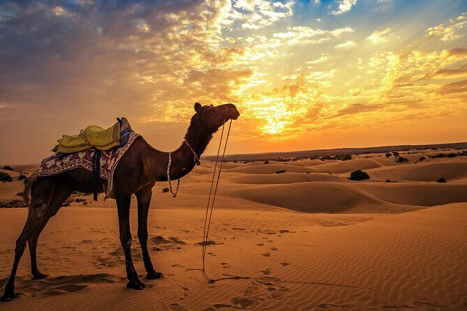 3 Days 2 Nights from Fes to Marrakech Private Luxury Desert Tour - What the Tour Means for You