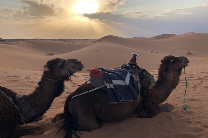3-Days 2 Nights from Fes to Marrakech Private Luxury Desert trip - Who Would Love This Tour?