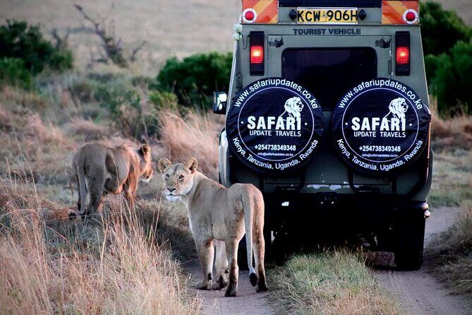3 Days 2 nights Group joining Midrange Safari Tour in Masai maraa - Key Points