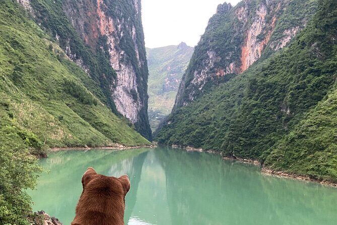 3 Days 2 Nights Ha Giang Loop Tour Small Group Local Tour Guide - Day 2: The Heart of the Loop — Ma Pi Leng and Beyond