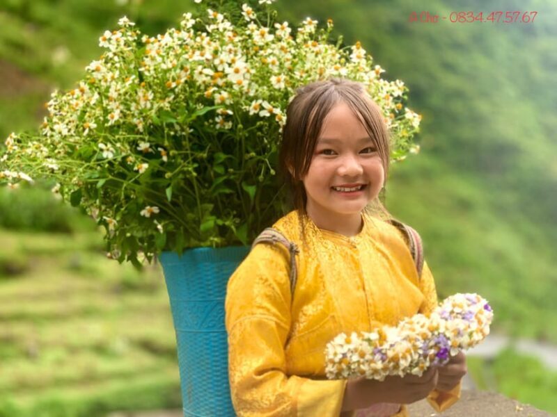 3 Days 2 Nights Ha Giang Loop With HMong Ethnic Travel - Who Should Consider This Tour?