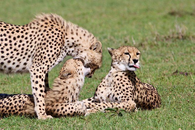 3 Days 2 Nights in Maasai Mara via The Great Rift Valley - FAQ