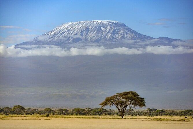 3 Days 2 Nights Joining Tour to Amboseli National Park - Introduction: What This Tour Offers