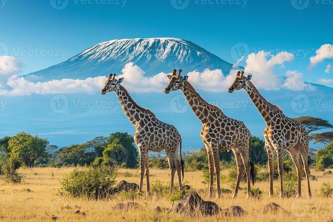 3 Days 2 Nights Joining Tour to Amboseli National Park - A Day-by-Day Breakdown