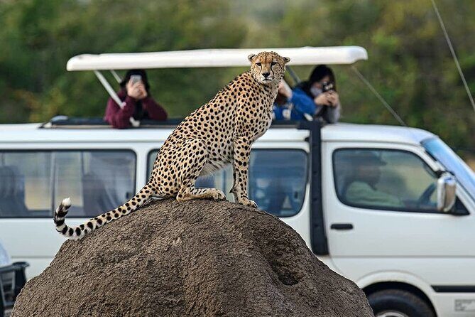 3 Days 2 Nights Maasai Mara Group Safari by 4WD From Nairobi - FAQ