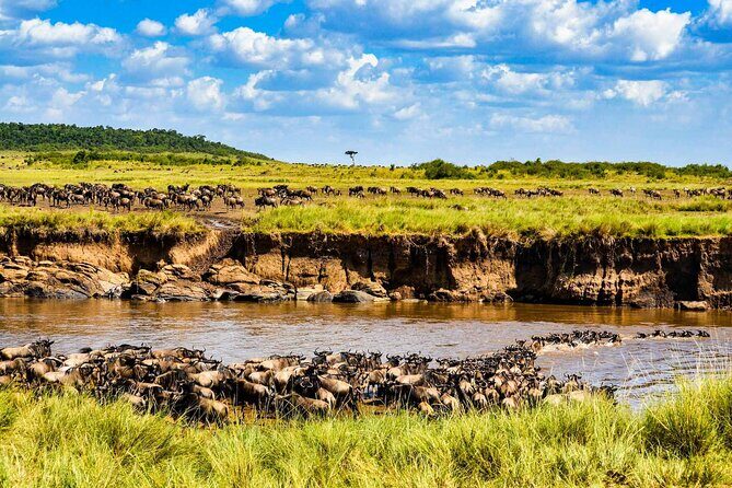3 Days 2 Nights Maasai Mara Guided Safari Tour - Key Points