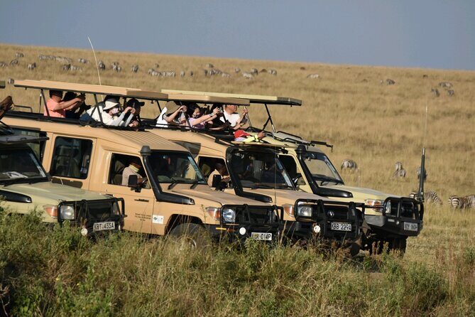 3 Days 2 Nights Maasai Mara Guided Safari Tour - An In-Depth Look at the Maasai Mara Safari Experience
