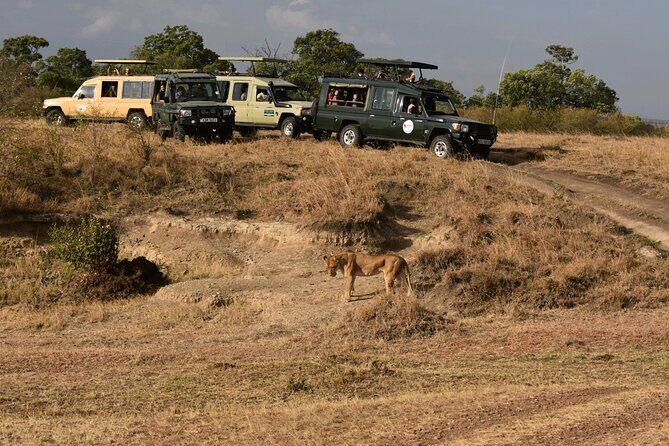3 Days 2 Nights Maasai Mara Guided Safari Tour - Who Will Love This Tour?