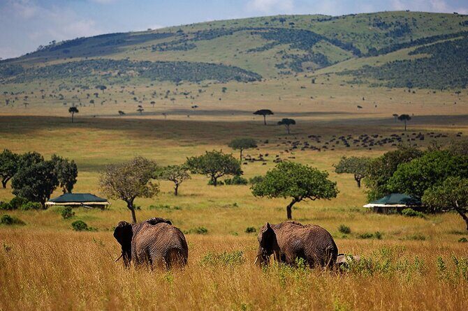 3 Days 2 Nights Maasai Mara National Reserve Joining Safari - Key Points
