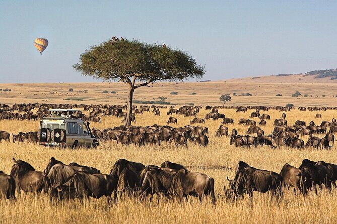 3 Days 2 Nights Maasai Mara National Reserve Joining Safari - FAQ