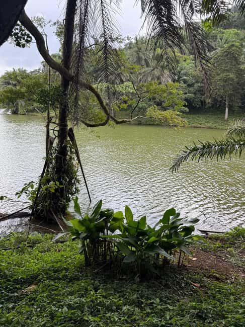 3 Days 2 Nights Magoroto Forest Trip from Zanzibar by Flight - Frequently Asked Questions