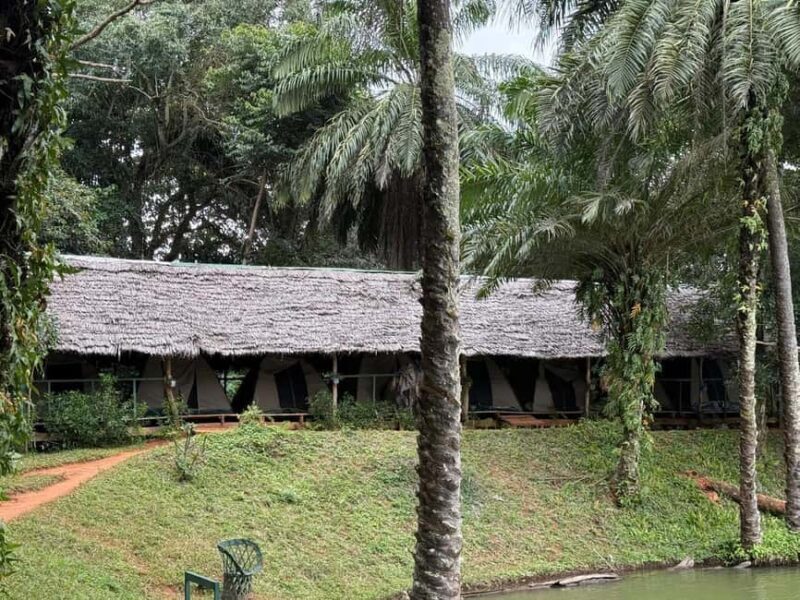 3 Days 2 Nights Magoroto Forest Trip from Zanzibar by Flight - Final Thoughts