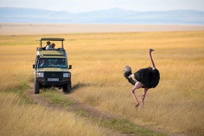 3 days 2 nights Masai Mara Budget safari from Nairobi - The Itinerary in Detail