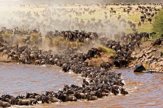 3 days 2 nights Masai Mara Budget safari from Nairobi - Who Will Love This Tour?