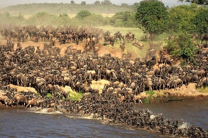 3 days 2 nights Masai Mara Budget safari from Nairobi - Final Thoughts: Is This Safari Right for You?