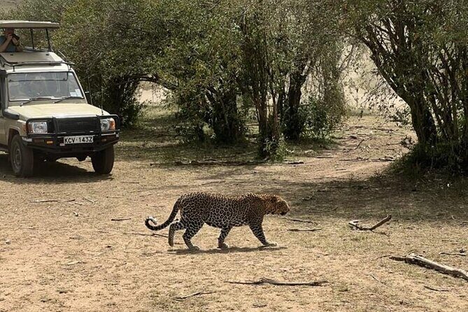 3 Days 2 Nights Masai Mara Road Transport Safari - Frequently Asked Questions