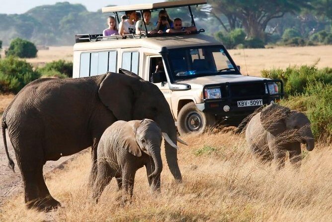 3 Days 2 Nights Masai Mara Safari staying inside the park - The Journey Begins: From Nairobi to the Great Rift Valley Viewpoint