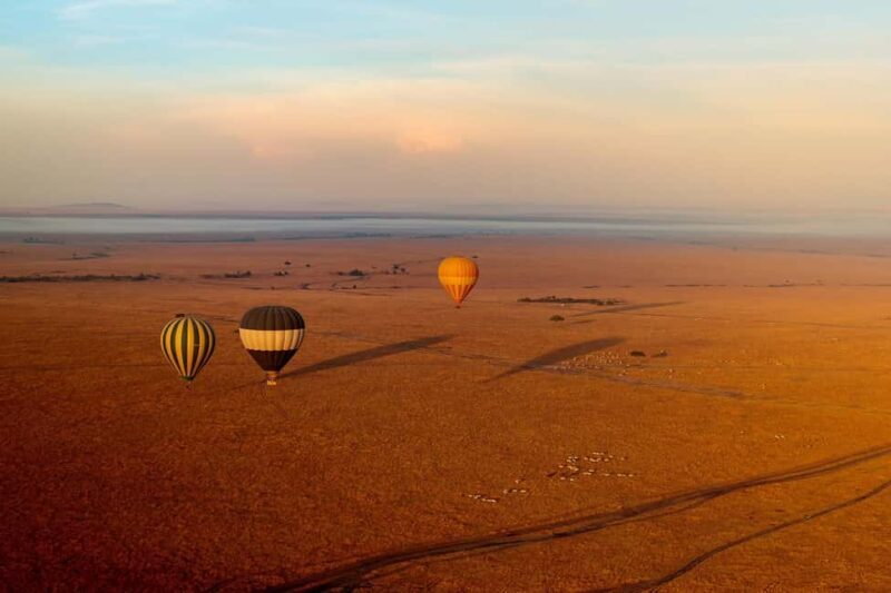 3 Days 2 Nights Masai Mara Safari - Key Points