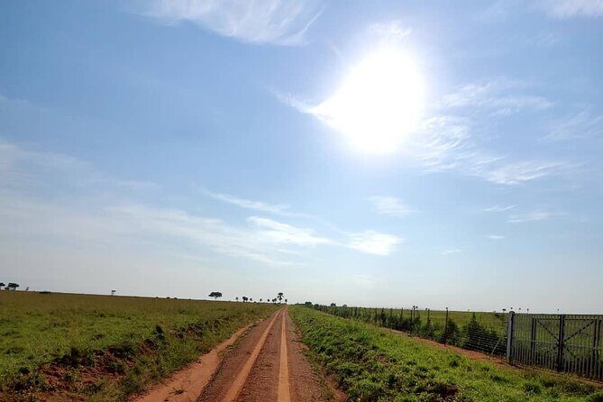3 Days 2 Nights, Murchison Falls And Wildlife Safari - FAQ