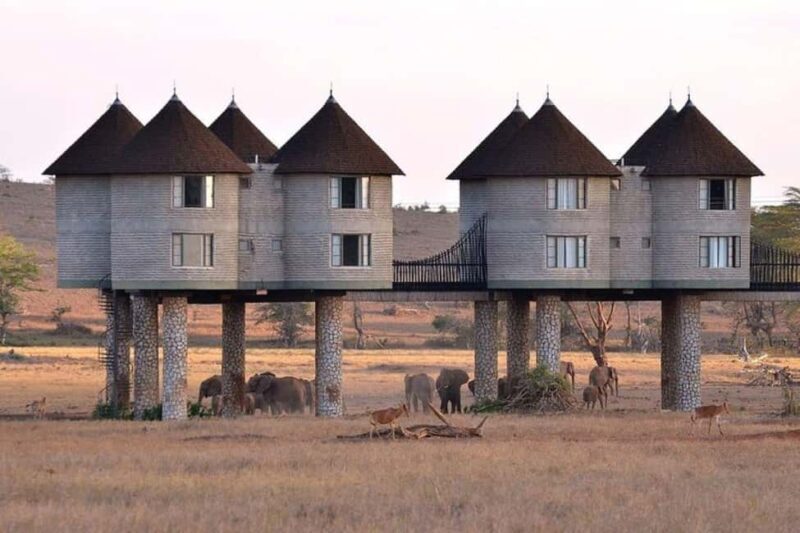 3 Days 2 Nights Private Safari to Salt Lick - Key Points