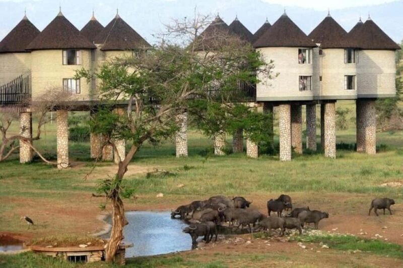 3 Days 2 Nights Private Safari to Salt Lick - An Authentic Kenya Safari Experience