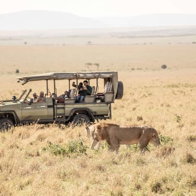 3 Days 2 Nights Private Tour in Maasai Mara - Exploring the Maasai Mara: What to Expect from a 3-Day Private Safari