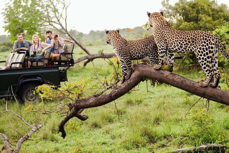 3 DAYS, 2 NIGHTS SAFARI FROM ZANZIBAR TO MIKUMI BY FERRY. - Introduction: Who This Tour Is For