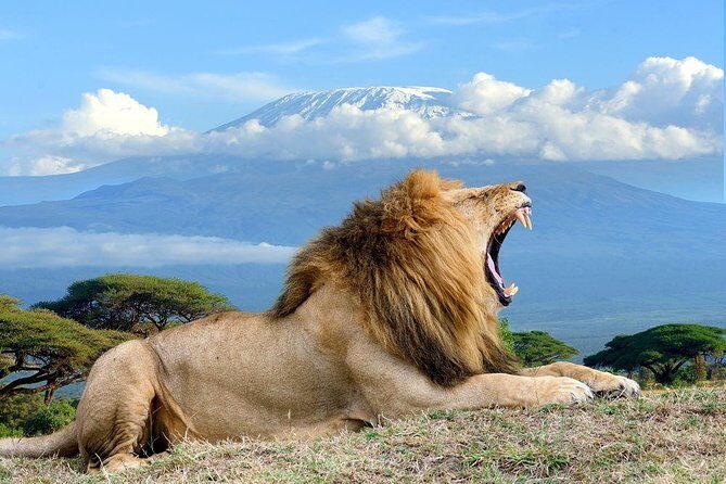 3 days, 2 nights safari to Amboseli National park from Nairobi - An Introduction to the Amboseli Safari Experience