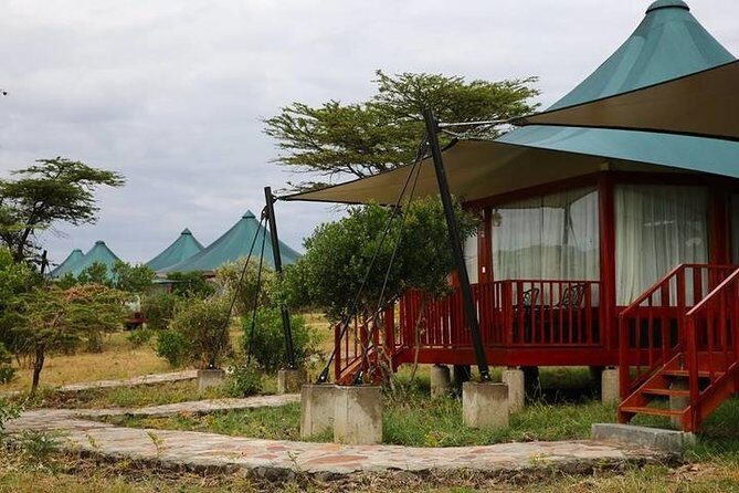 3 days, 2 nights safari to Amboseli National park from Nairobi - Authentic Experiences and Cultural Touches