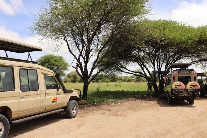 3 Days 2 Nights Safari to Mikumi National Parks - The Experience: Authentic, Practical, and Fun