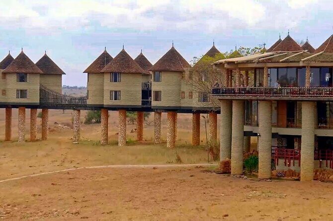 3 Days 2 Nights Safari to Saltlick Lodge from Nairobi - An in-depth look at the safari experience